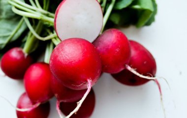 Бита редиска: рецепт простої і дуже смачної закуски