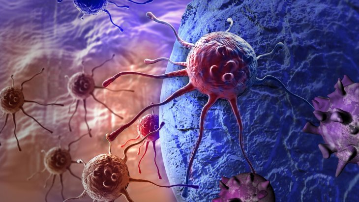 Ученые обнаружили общее уязвимое место многих типов рака