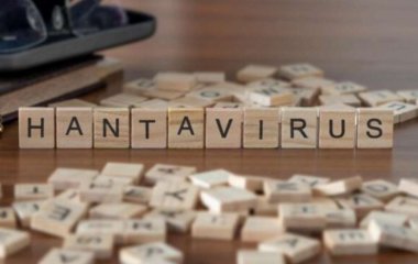 Ученые обнаружили первые эффективные человеческие антитела к хантавирусу
