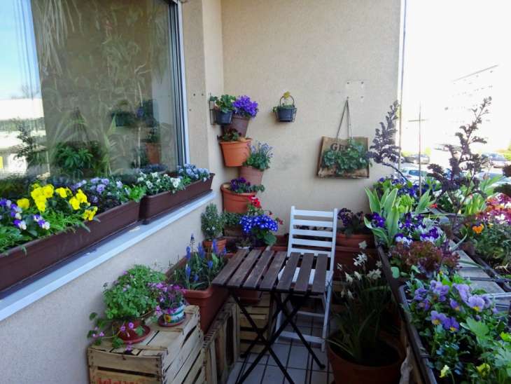 Переезд на балкон: какие комнатные растения можно выносить на улицу в теплое время года