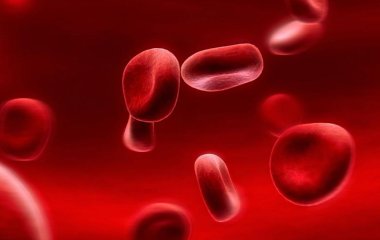 Вчені розповіли про взаємозв'язок групи крові та хвороб