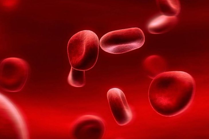 Вчені розповіли про взаємозв'язок групи крові та хвороб