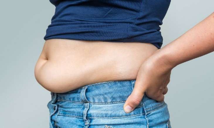 Вчені визначили ген, який регулює вироблення жиру