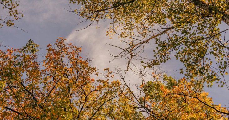 День ангела 5 жовтня: кого та як вітати з іменинами