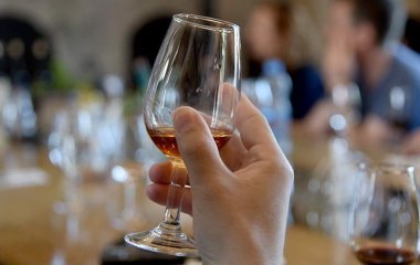 Лікар розповів про вплив алкоголю на нирки