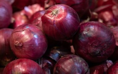 Врач рассказала, кому нельзя есть лук
