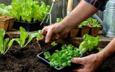 Коли можна працювати на землі після Великодня