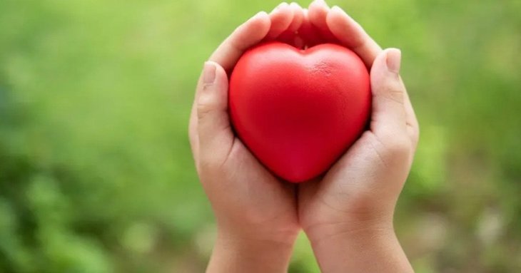 Лікар назвав найкращий фрукт для здоров’я серця та судин