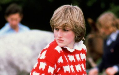 Знаменитый свитер принцессы Дианы с черной овцой продали за рекордные 1,1 миллиона долларов