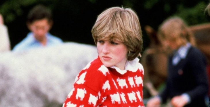 Знаменитый свитер принцессы Дианы с черной овцой продали за рекордные 1,1 миллиона долларов