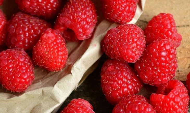 Вам нужно это знать! Как сохранить вкус свежей малины