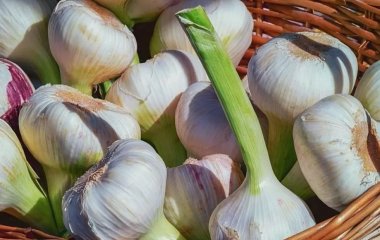 Як за допомогою часникового лушпиння зробити шкіру ідеальною
