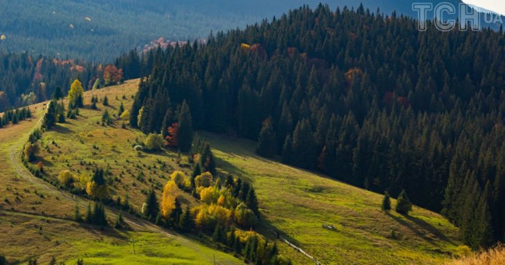 Купив стару хату в Карпатах і перетворив її на будинок мрії: скільки коштувало відновлення (фото)