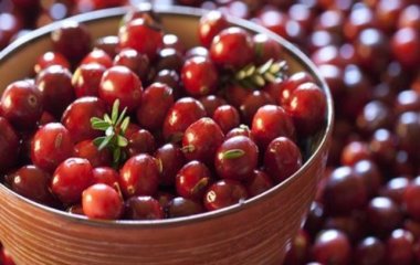 Вчені з'ясували, що журавлина покращує пам'ять