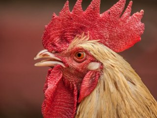 Судмедексперт розповів про найжахливіші смерті: 