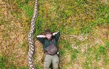 Знайдено найдовшу дику змію у світі — фото