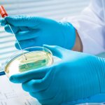 Медики обнаружили причину мужского бесплодия