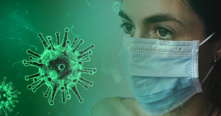 Новий вірус у кажанів може знову загрожувати людству: лікарі попередили про ризик пандемії