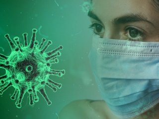 Новий вірус у кажанів може знову загрожувати людству: лікарі попередили про ризик пандемії