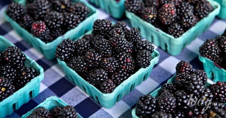 Сидяча робота б’є по серцю: 6 продуктів, які можуть його захистити