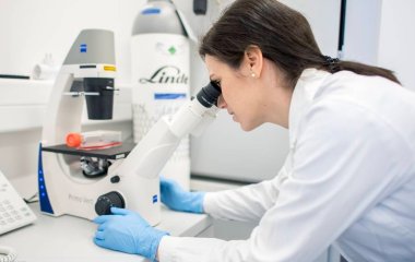 Клітини підшлункової залози зробили невидимими для імунітету