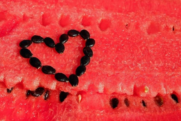 Кавунове насіння: поживна бомба для вашого організму