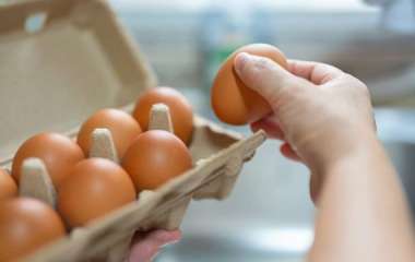 Сколько яиц можно есть за день, врачи дали ответ
