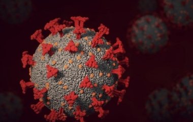 Імунолог назвав головну мету «омікрону» в організмі людини