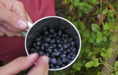 Лікар Комаровський розвіяв міф про те, що чорниця відновлює зір