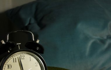 На вихідні у сплячку. Вчені з'ясували, як виспатися про запас