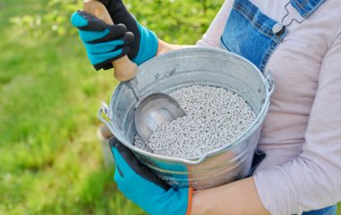 Фахівці попереджують: ці добрива не можна використовувати одночасно — викинете гроші 