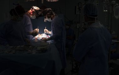 Світова сенсація: лікарі вперше пересадили людині легеню свині — які наслідки