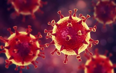 Ученые открыли механизм перехода вирусов животных на людей