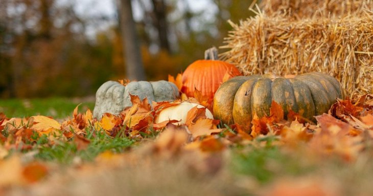 День ангела 17 жовтня: кого та як вітати з іменинами