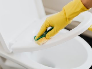 Как отбелить желтое сиденье унитаза: простые лайфхаки