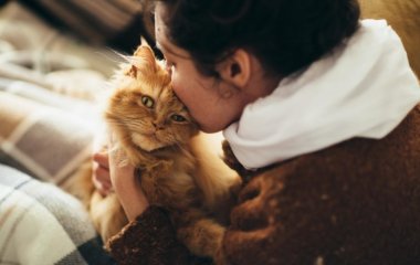 Як стати щасливою: 12 мудрих порад від вашого кота