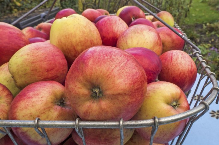 Дієтолог назвав продукти, які позбавляють поганого холестерину