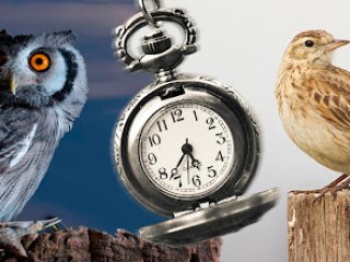 Ученые доказали, что