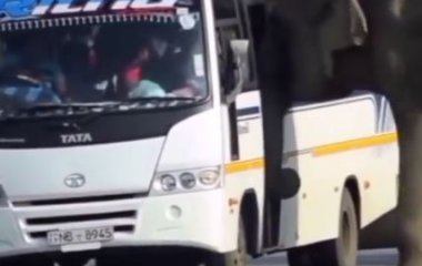 В Индии слон попытался забраться в движущийся автобус