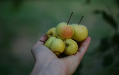 День ангела 26 липня: кого та як вітати з іменинами