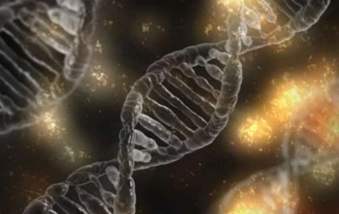 Ученые нашли метод раннего обнаружения болезни Паркинсона