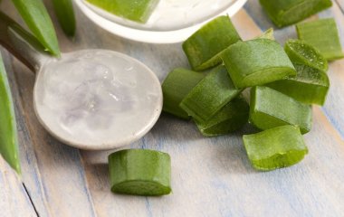  Маска из алоэ для лица: полезные свойства и рецепты приготовления