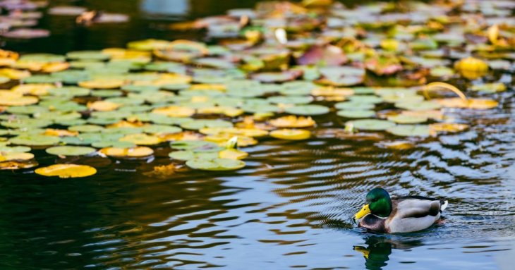 Вікно у потойбіччя: моторошна історія