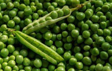 Медики назвали самый токсичный продукт
