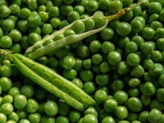 Медики назвали самый токсичный продукт