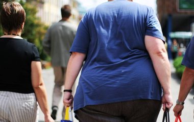 Ожиріння пов'язали із прискоренням еволюції вірусу грипу