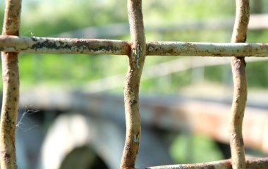 Жахливі крики викрили моторошну історію: жінку знайшли замкненою в собачій будці