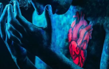 Які продукти та напої допомагають відновлювати органи та тканини людини