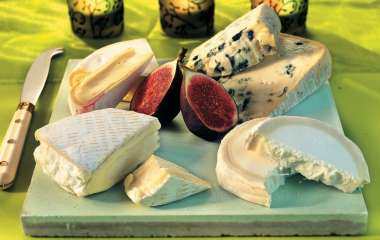 Как правильно хранить сыр: 10 советов