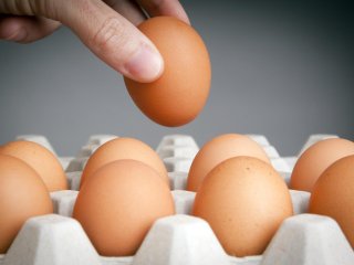 Что будет с организмом, если полностью отказаться от яиц – ответ медиков